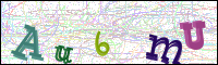 Vérification par image