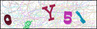 Vérification par image