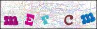 Vérification par image