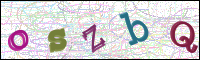 Vérification par image