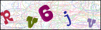 Vérification par image