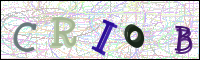 Vérification par image