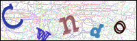 Vérification par image