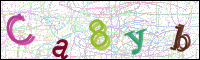 Vérification par image