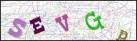 Vérification par image