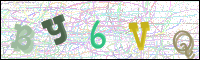 Vérification par image
