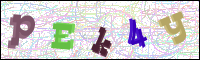 Vérification par image
