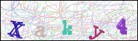 Vérification par image