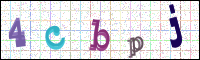 Vérification par image