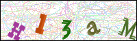 Vérification par image