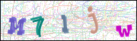 Vérification par image