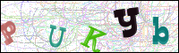 Vérification par image