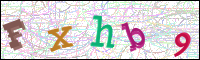 Vérification par image