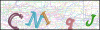 Vérification par image