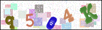 Vérification par image