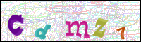 Vérification par image