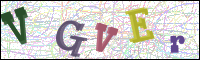 Vérification par image