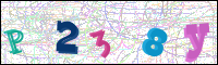 Vérification par image