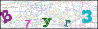 Vérification par image