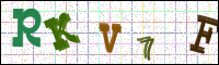 Vérification par image