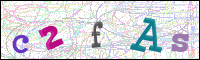 Vérification par image
