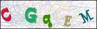 Vérification par image