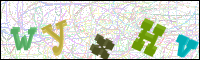 Vérification par image
