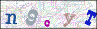 Vérification par image