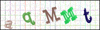 Vérification par image