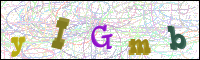 Vérification par image
