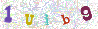 Vérification par image