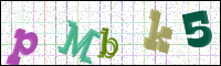 Vérification par image