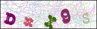 Vérification par image