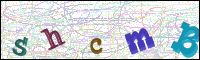 Vérification par image