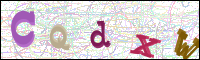 Vérification par image