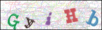 Vérification par image