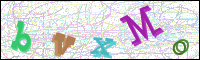 Vérification par image