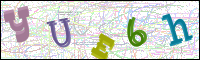 Vérification par image