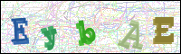 Vérification par image