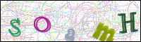 Vérification par image
