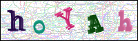 Vérification par image