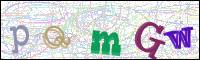 Vérification par image