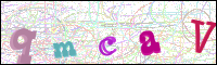 Vérification par image